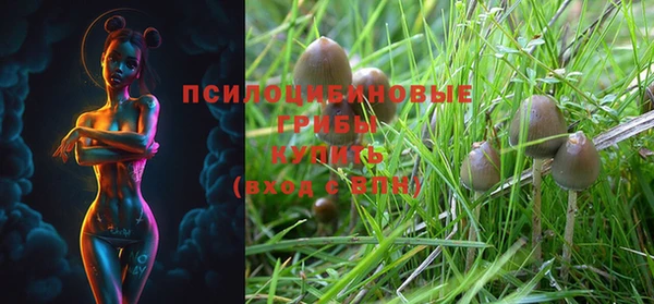 прущая мука Дмитриев