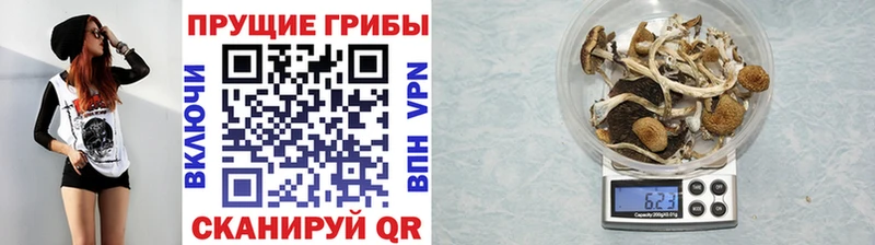 Купить  Углегорск  Псилоцибиновые грибы Magic Shrooms 
